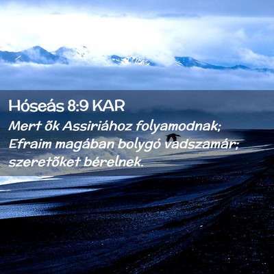 Picture 02 - Hóseás 8:9 KAR - Mert õk Assiriához folyamodnak; Efraim magában - Bible Verse Picture