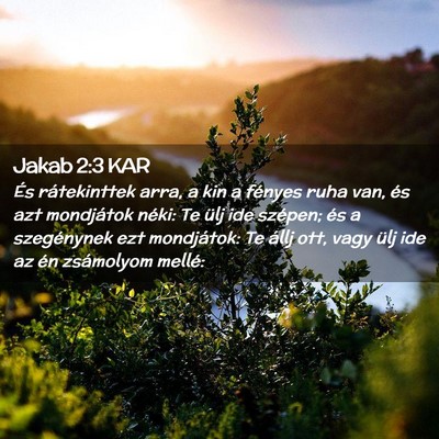 Picture 02 - Jakab 2:3 KAR - És rátekinttek arra, a kin a fényes ruha van, - Bible Verse Picture