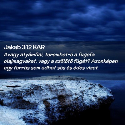 Picture 02 - Jakab 3:12 KAR - Avagy atyámfiai, teremhet-é a fügefa - Bible Verse Picture
