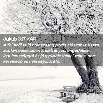 Picture 02 - Jakab 3:17 KAR - A felülrõl való bölcsesség pedig elõször - Bible Verse Picture