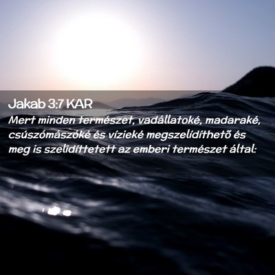 Picture 02 - Jakab 3:7 KAR - Mert minden természet, vadállatoké, madaraké, - Bible Verse Picture