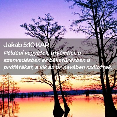 Picture 02 - Jakab 5:10 KAR - Például vegyétek, atyámfiai, a szenvedésben - Bible Verse Picture