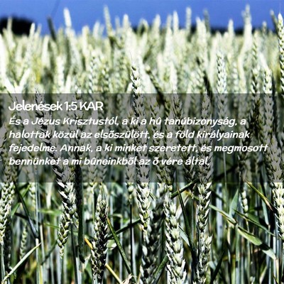 Picture 02 - Jelenések 1:5 KAR - És a Jézus Krisztustól, a ki a hû - Bible Verse Picture