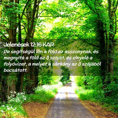 Picture 02 - Jelenések 12:16 KAR - De segítségül lõn a föld az asszonynak, és - Bible Verse Picture