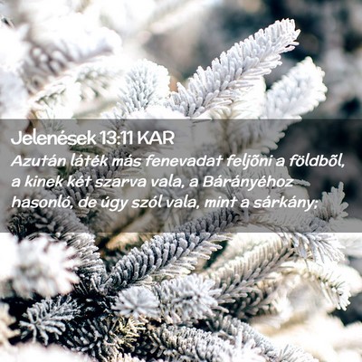 Picture 02 - Jelenések 13:11 KAR - Azután láték más fenevadat feljõni a - Bible Verse Picture