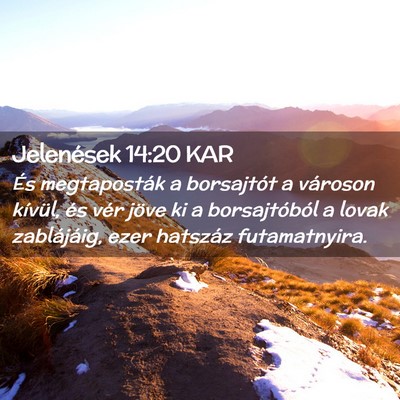 Picture 02 - Jelenések 14:20 KAR - És megtaposták a borsajtót a városon kívül, - Bible Verse Picture