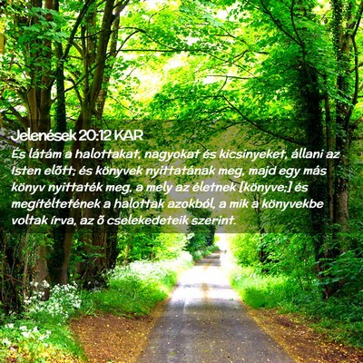 Picture 02 - Jelenések 20:12 KAR - És látám a halottakat, nagyokat és - Bible Verse Picture