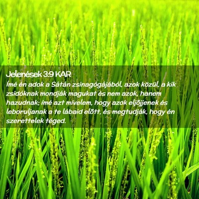 Picture 02 - Jelenések 3:9 KAR - Ímé én adok a Sátán zsinagógájából, azok - Bible Verse Picture