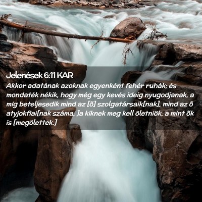 Picture 02 - Jelenések 6:11 KAR - Akkor adatának azoknak egyenként fehér ruhák; - Bible Verse Picture