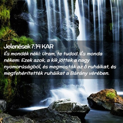 Picture 02 - Jelenések 7:14 KAR - És mondék néki: Uram, te tudod. És monda - Bible Verse Picture