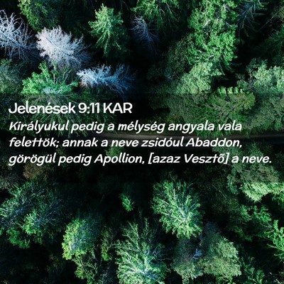 Picture 02 - Jelenések 9:11 KAR - Királyukul pedig a mélység angyala vala - Bible Verse Picture