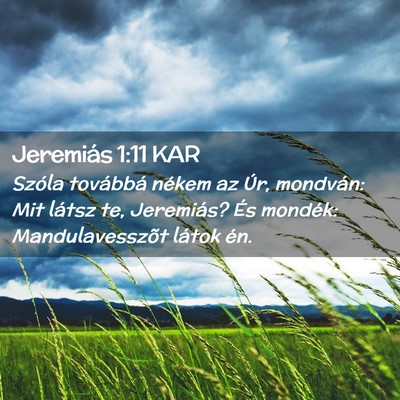 Picture 02 - Jeremiás 1:11 KAR - Szóla továbbá nékem az Úr, mondván: Mit - Bible Verse Picture