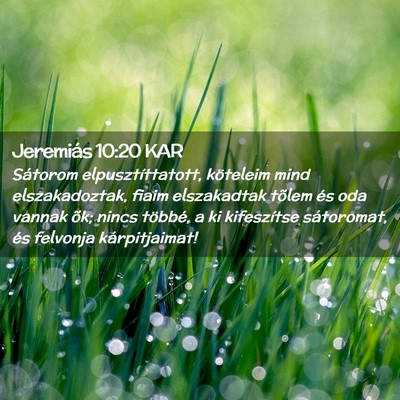 Picture 02 - Jeremiás 10:20 KAR - Sátorom elpusztíttatott, köteleim mind - Bible Verse Picture