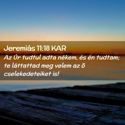 Picture 02 - Jeremiás 11:18 KAR - Az Úr tudtul adta nékem, és én tudtam; te - Bible Verse Picture