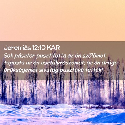 Picture 02 - Jeremiás 12:10 KAR - Sok pásztor pusztította az én szõlõmet, - Bible Verse Picture