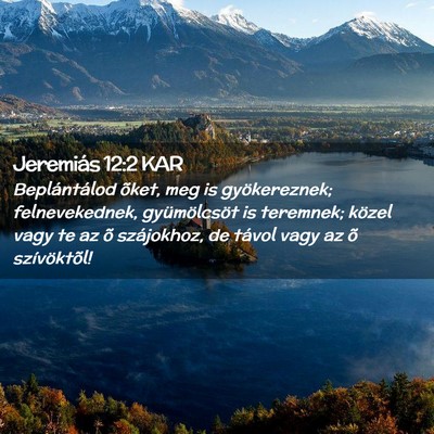 Picture 02 - Jeremiás 12:2 KAR - Beplántálod õket, meg is gyökereznek; - Bible Verse Picture