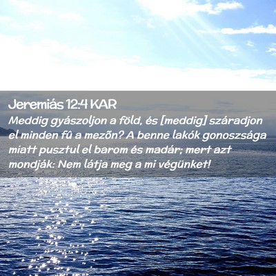 Picture 02 - Jeremiás 12:4 KAR - Meddig gyászoljon a föld, és [meddig] - Bible Verse Picture