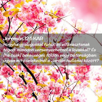 Picture 02 - Jeremiás 12:5 KAR - Hogyha gyalogokkal futsz, és elfárasztanak - Bible Verse Picture