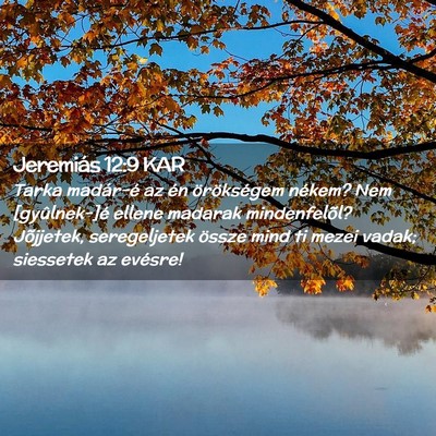 Picture 02 - Jeremiás 12:9 KAR - Tarka madár-é az én örökségem nékem? Nem - Bible Verse Picture