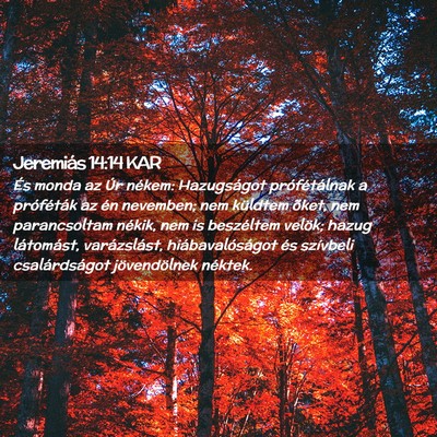 Picture 02 - Jeremiás 14:14 KAR - És monda az Úr nékem: Hazugságot - Bible Verse Picture