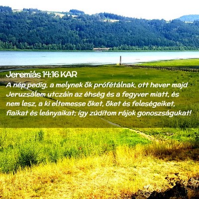 Picture 02 - Jeremiás 14:16 KAR - A nép pedig, a melynek õk prófétálnak, ott - Bible Verse Picture
