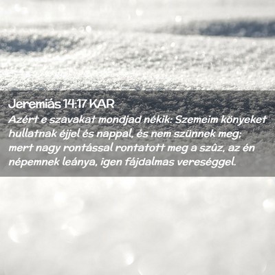 Picture 02 - Jeremiás 14:17 KAR - Azért e szavakat mondjad nékik: Szemeim - Bible Verse Picture