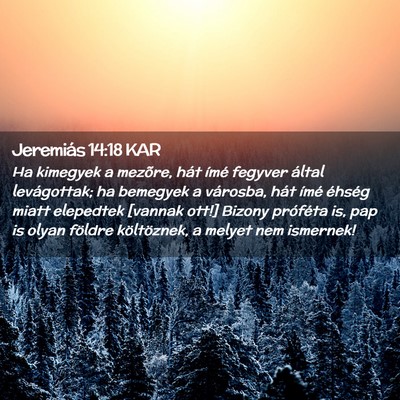 Picture 02 - Jeremiás 14:18 KAR - Ha kimegyek a mezõre, hát ímé fegyver által - Bible Verse Picture
