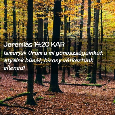 Picture 02 - Jeremiás 14:20 KAR - Ismerjük Uram a mi gonoszságainkat, atyáink - Bible Verse Picture
