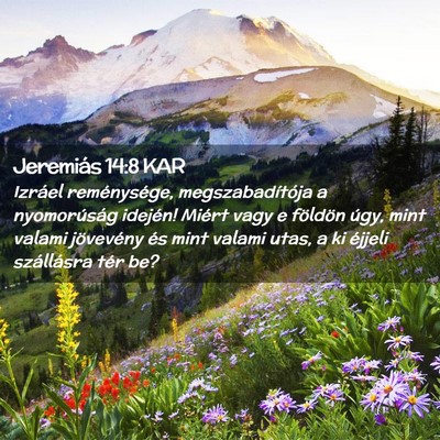 Picture 02 - Jeremiás 14:8 KAR - Izráel reménysége, megszabadítója a - Bible Verse Picture