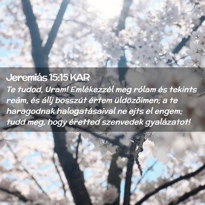 Picture 02 - Jeremiás 15:15 KAR - Te tudod, Uram! Emlékezzél meg rólam és - Bible Verse Picture