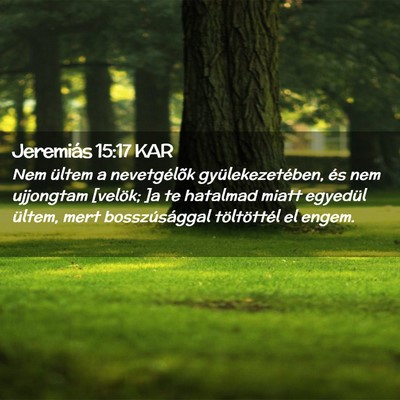 Picture 02 - Jeremiás 15:17 KAR - Nem ültem a nevetgélõk gyülekezetében, és - Bible Verse Picture