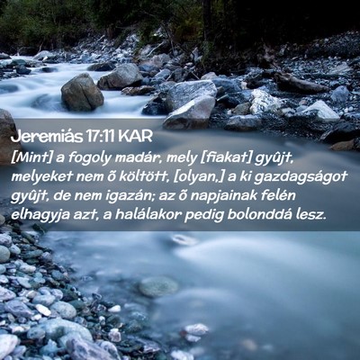 Picture 02 - Jeremiás 17:11 KAR - [Mint] a fogoly madár, mely [fiakat] gyûjt, - Bible Verse Picture