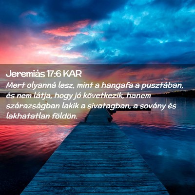 Picture 02 - Jeremiás 17:6 KAR - Mert olyanná lesz, mint a hangafa a pusztában, - Bible Verse Picture