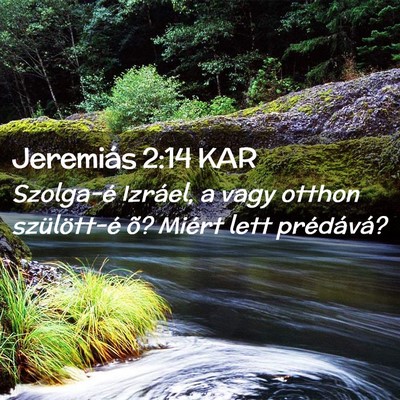 Picture 02 - Jeremiás 2:14 KAR - Szolga-é Izráel, a vagy otthon szülött-é õ? - Bible Verse Picture