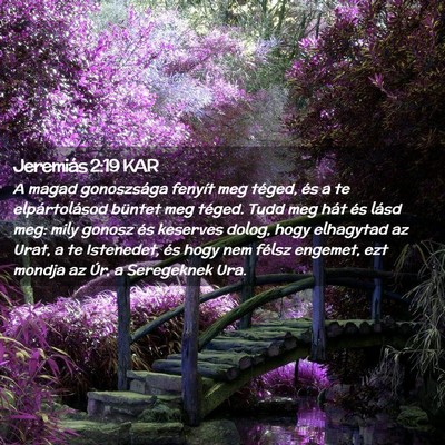Picture 02 - Jeremiás 2:19 KAR - A magad gonoszsága fenyít meg téged, és a te - Bible Verse Picture