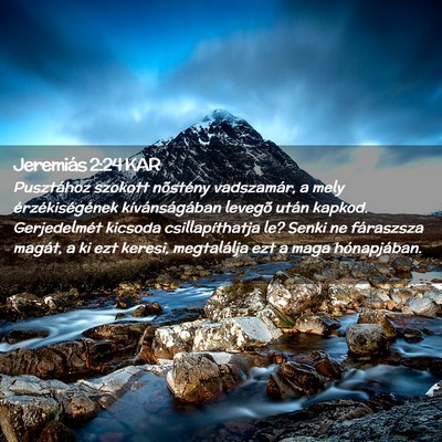 Picture 02 - Jeremiás 2:24 KAR - Pusztához szokott nõstény vadszamár, a mely - Bible Verse Picture