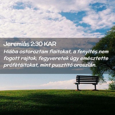 Picture 02 - Jeremiás 2:30 KAR - Hiába ostoroztam fiaitokat, a fenyítés nem - Bible Verse Picture