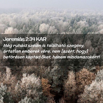 Picture 02 - Jeremiás 2:34 KAR - Még ruháid szélén is található szegény, - Bible Verse Picture