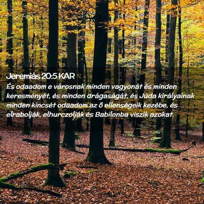 Picture 02 - Jeremiás 20:5 KAR - És odaadom e városnak minden vagyonát és - Bible Verse Picture