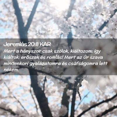 Picture 02 - Jeremiás 20:8 KAR - Mert a hányszor csak szólok, kiáltozom; így - Bible Verse Picture