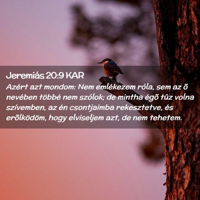 Picture 02 - Jeremiás 20:9 KAR - Azért azt mondom: Nem emlékezem róla, sem az - Bible Verse Picture