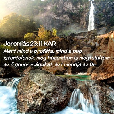 Picture 02 - Jeremiás 23:11 KAR - Mert mind a próféta, mind a pap istentelenek, - Bible Verse Picture