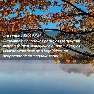 Picture 02 - Jeremiás 23:3 KAR - Juhaimnak maradékát pedig összegyûjtöm - Bible Verse Picture