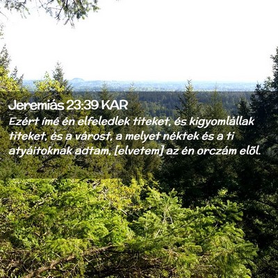 Picture 02 - Jeremiás 23:39 KAR - Ezért ímé én elfeledlek titeket, és - Bible Verse Picture