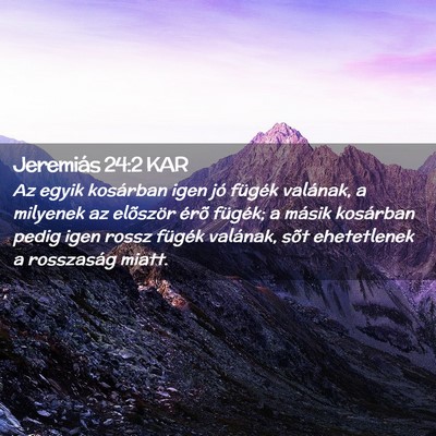 Picture 02 - Jeremiás 24:2 KAR - Az egyik kosárban igen jó fügék valának, a - Bible Verse Picture