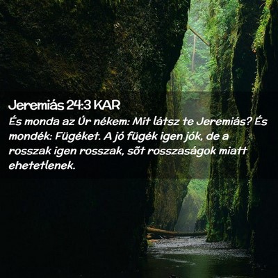 Picture 02 - Jeremiás 24:3 KAR - És monda az Úr nékem: Mit látsz te Jeremiás? - Bible Verse Picture