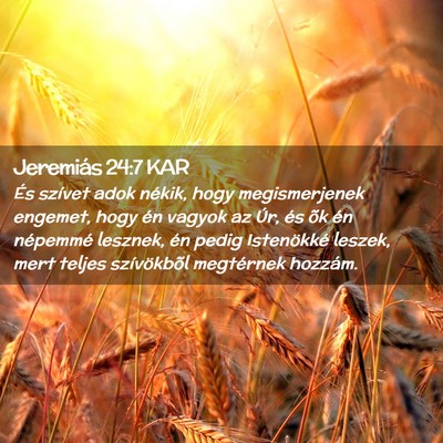Picture 02 - Jeremiás 24:7 KAR - És szívet adok nékik, hogy megismerjenek - Bible Verse Picture