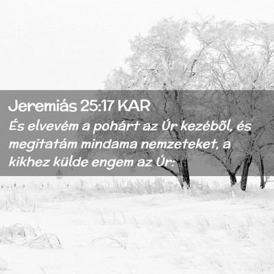 Picture 02 - Jeremiás 25:17 KAR - És elvevém a pohárt az Úr kezébõl, és - Bible Verse Picture