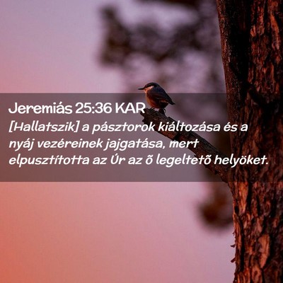 Picture 02 - Jeremiás 25:36 KAR - [Hallatszik] a pásztorok kiáltozása és a - Bible Verse Picture