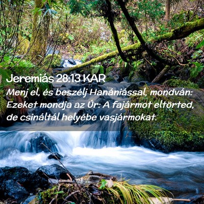 Picture 02 - Jeremiás 28:13 KAR - Menj el, és beszélj Hanániással, mondván: - Bible Verse Picture